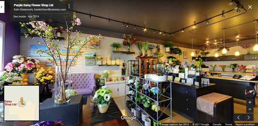 Purple Daisy Flower Shop